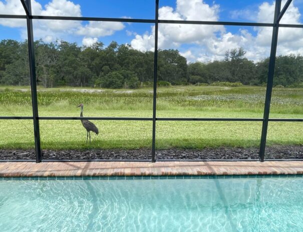 300836103_565656222012836_6330189900250066455_n