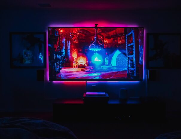 100 inch Projector Screen